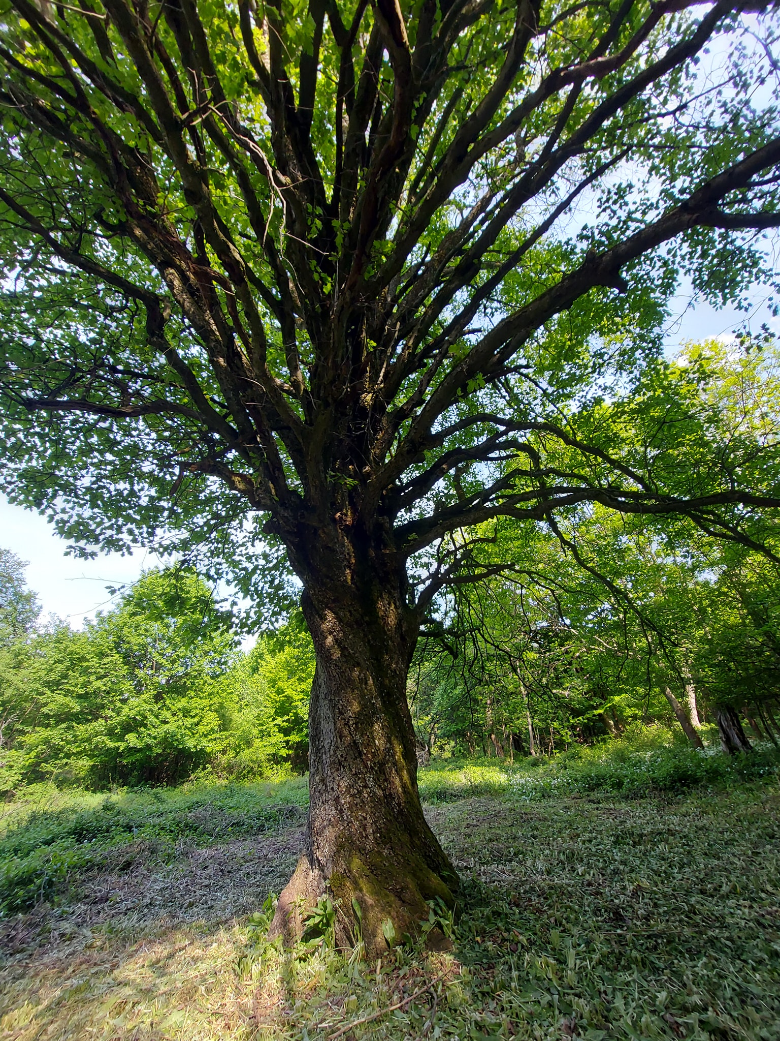 439011561_401269066224916_1305486673838034285_n-1