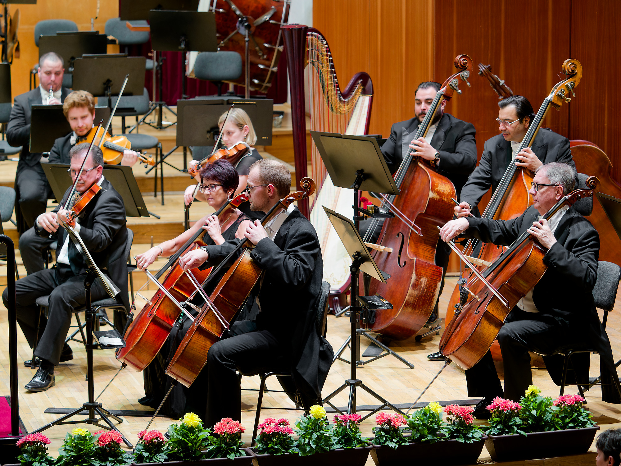 437491251_928956149234446_1411692591576627928_n-1