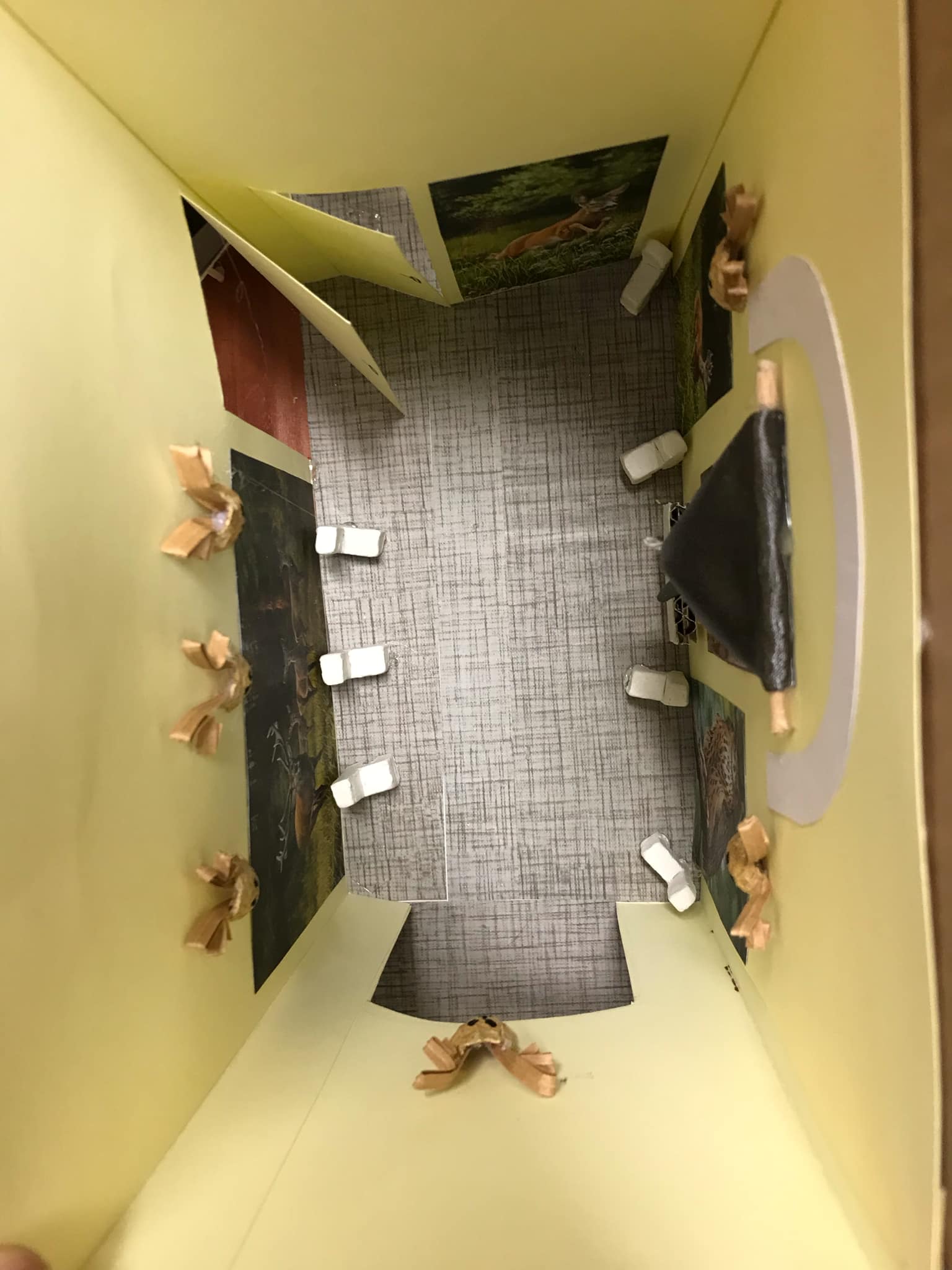 6f8e4f9f-28a0-4158-9310-28fde572d9fc-1