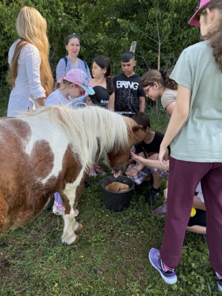 1426abb5-4d8a-4273-af21-aef9e861d562-1