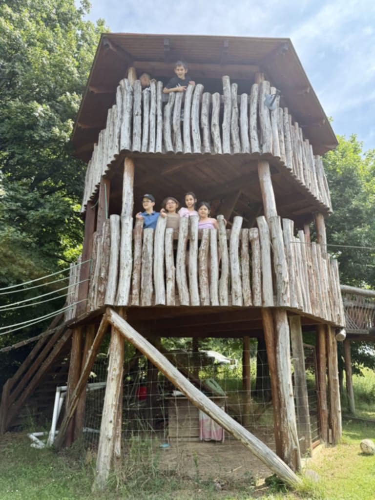 89187660-aa87-4b54-b85e-1b7873e76f23-1