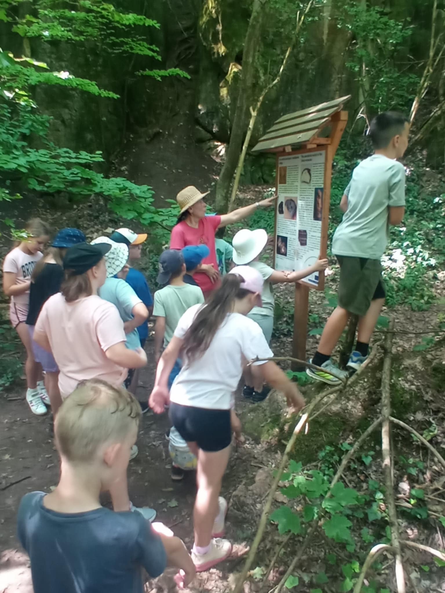 e9991d5c-a76d-4dca-80ae-ce3b990a6740