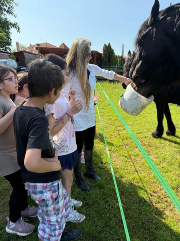 f4aed513-d0b3-41a4-9ce7-186206330de6