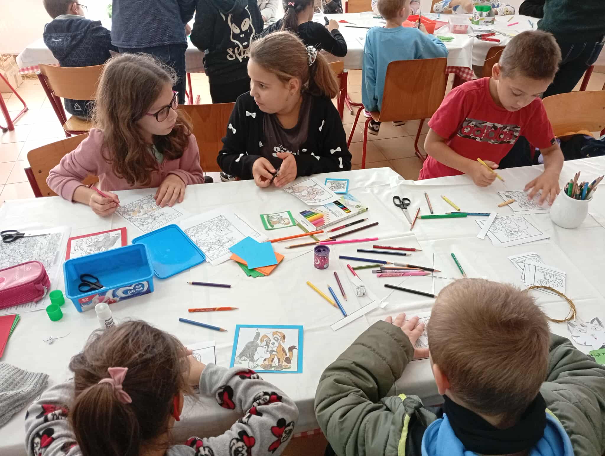 541298094_739245109151050_2480689515673810127_n