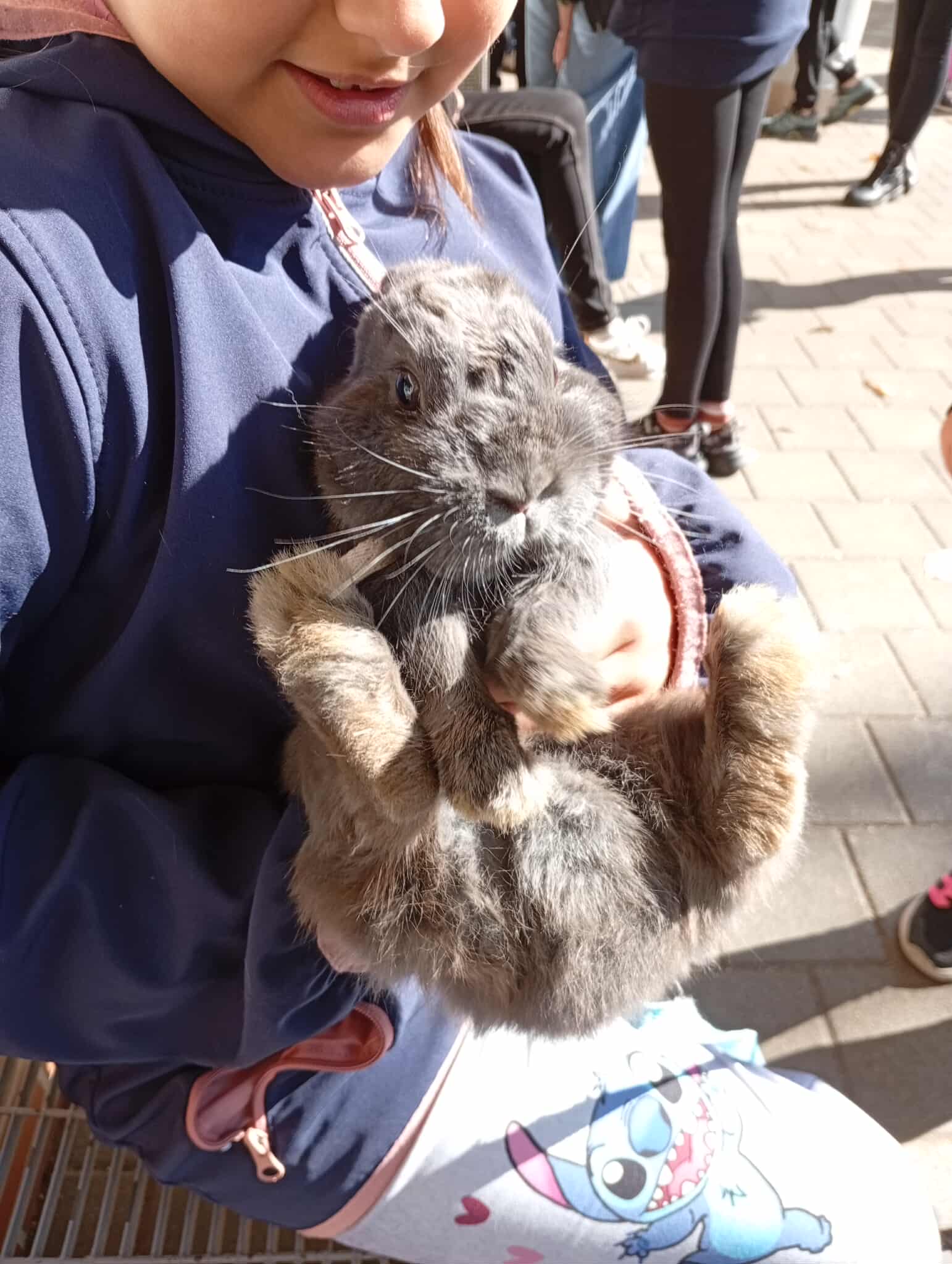 553111311_1981556322632127_135854826986194789_n